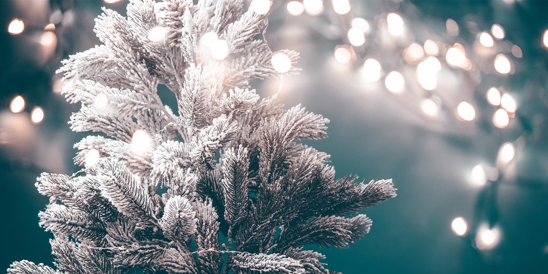 Descubre las 7 luces de árbol de navidad para estas fiestas